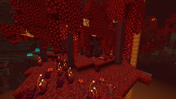 crimson forest