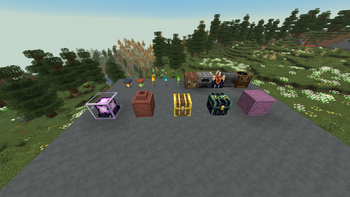 functional blocks