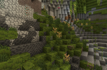 lush caves