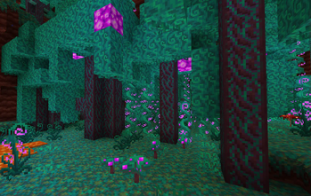 warped forest