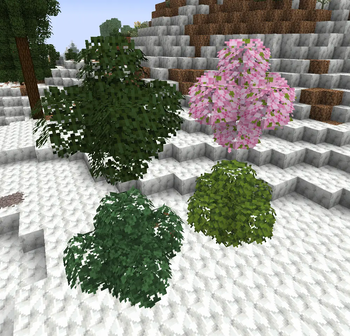 bushy leaves
