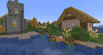 Village