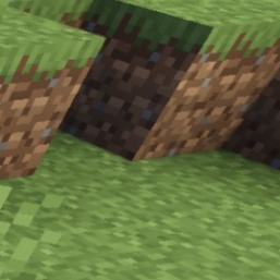 Grass before 