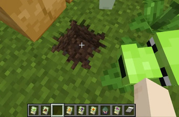 Grass after