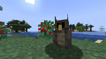 Owl next to Sweet Berries