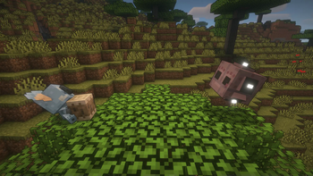 Meteor Form in Battle