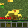 EdibleFlowers
