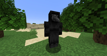 SCP-049