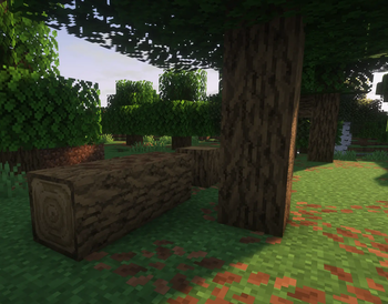 Logs