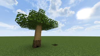 A lone tree with.... a stump?!