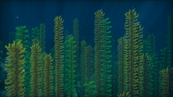Kelp forest, featuring Sargassum