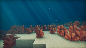 A meadow of red algae in a lukewarm ocean