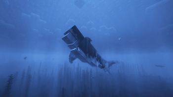 A Great White Shark swimming up to the surface