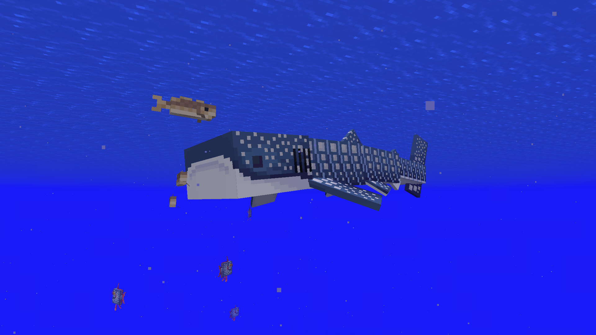 Whale Shark