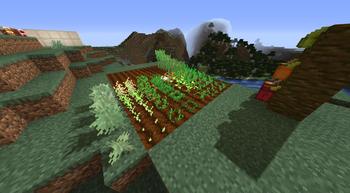 Crops!