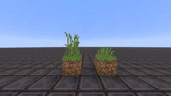 Shorter Grass