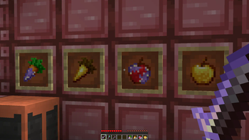Complete Special Food Collection