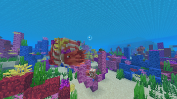 Coral Nautilus with Baby Nautilus