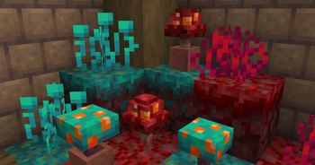 Warped & Crimson Fungus