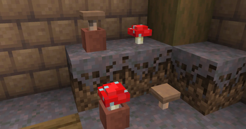 Red & Brown Mushrooms