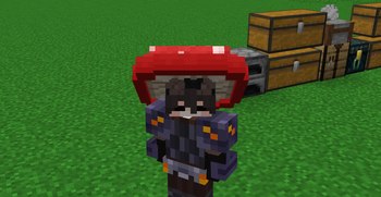 Hat and armour skins