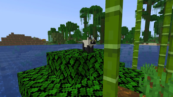Lemur
