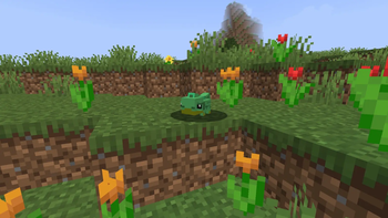 Chameleon