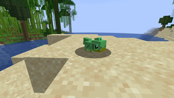 Chameleon