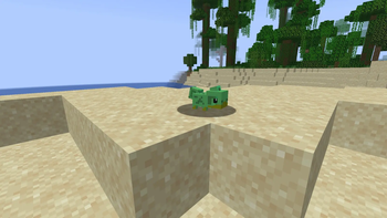 Chameleon
