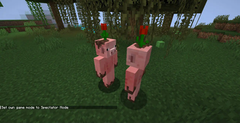 piggies