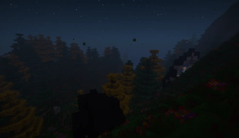 PLACID WOODS 1