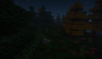 PLACID WOODS 2