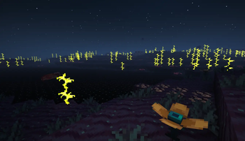 DEEP HORIZON 2