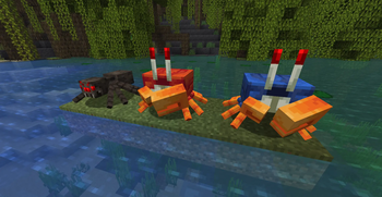 Crabs