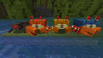 Crabs