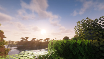 Forest Sunset