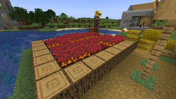BlazeBloom Crop Field