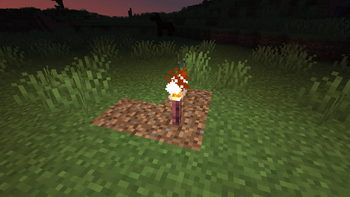 BlazeBloom Torch