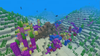 Shipwreck!