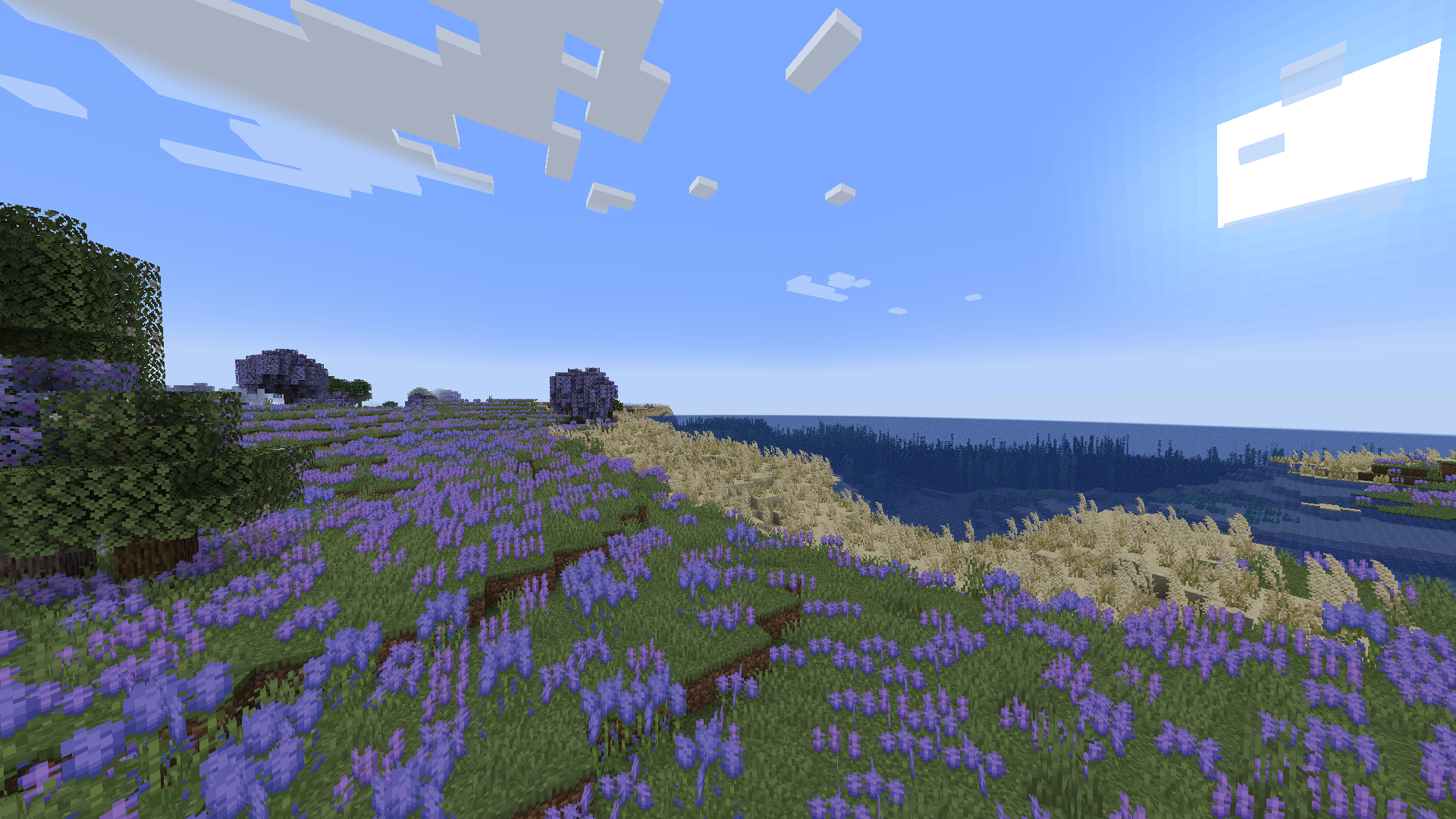 Lavender Field and Dune Beach