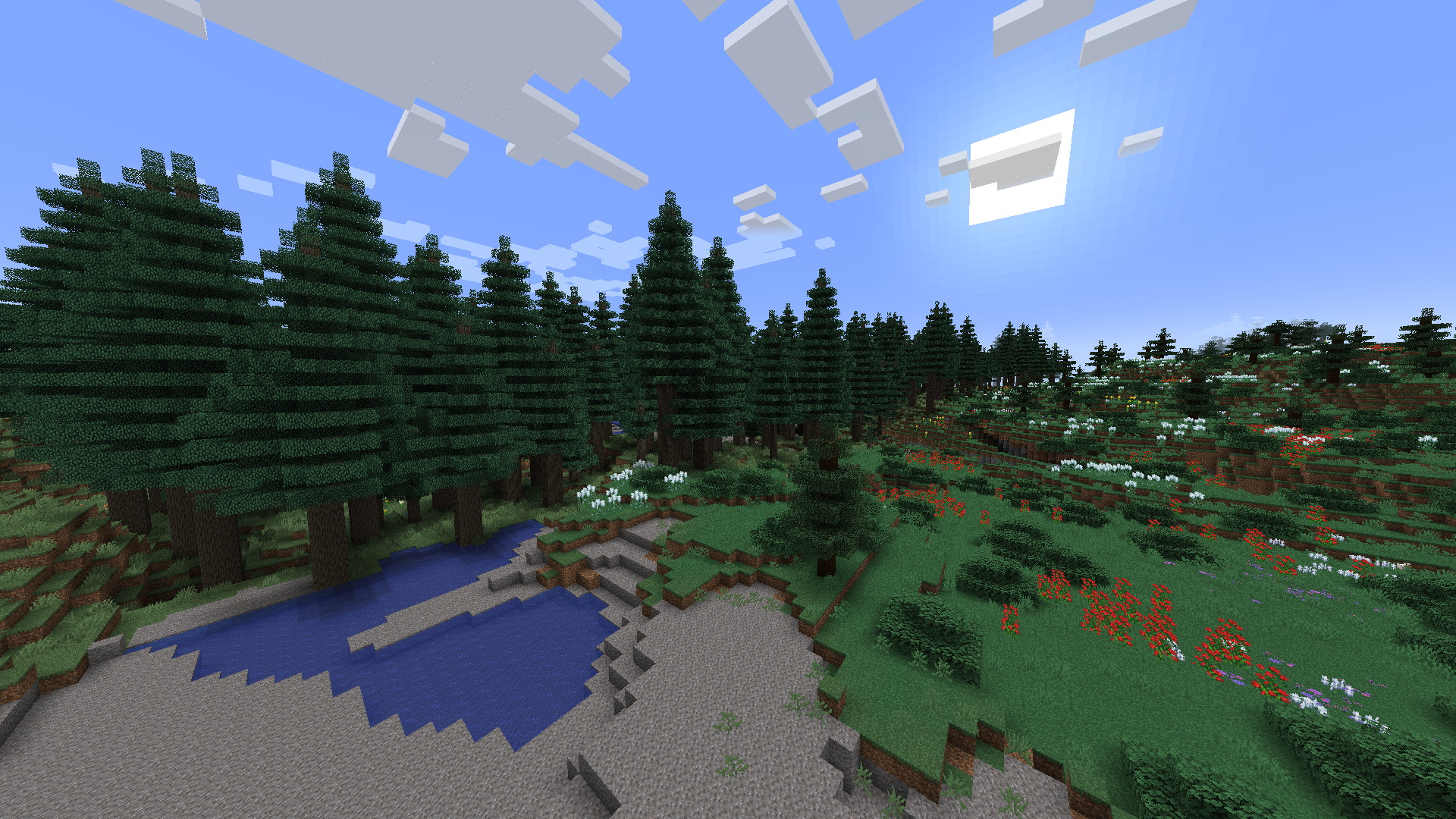 Coniferous Forest, Field, and Gravel Beach