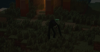 He see you ...