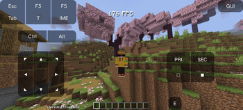 Without shader
