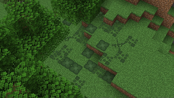 Clovers