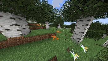 Chanterelles and Lilies