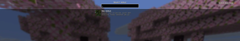 Singleplayer