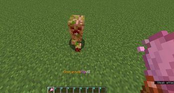 Random Enchant Enabled