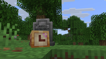 Player Head