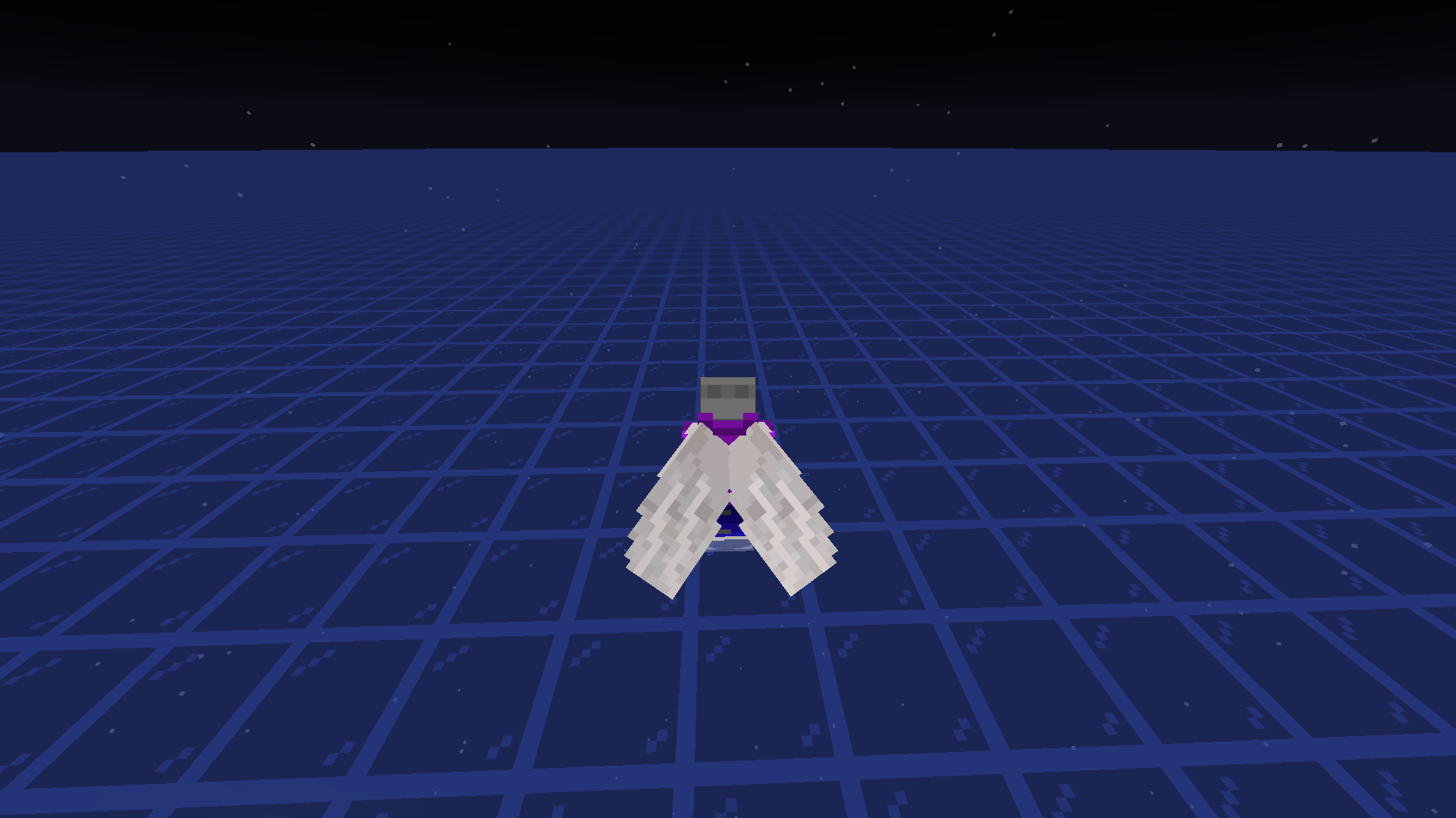 Picture of the elytra in game!