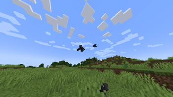 Ravens Flying